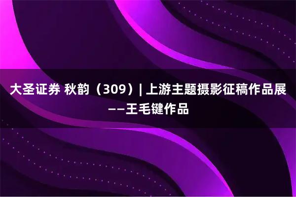 大圣证券 秋韵（309）| 上游主题摄影征稿作品展——王毛键作品