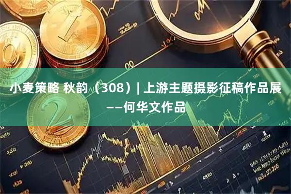 小麦策略 秋韵（308）| 上游主题摄影征稿作品展——何华文作品