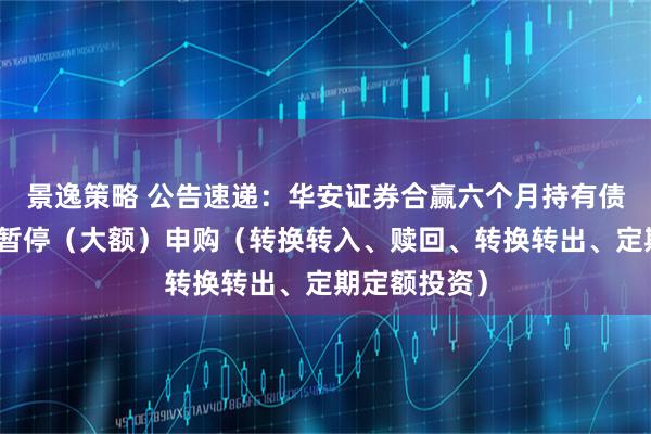 景逸策略 公告速递：华安证券合赢六个月持有债券基金基金暂停（大额）申购（转换转入、赎回、转换转出、定期定额投资）